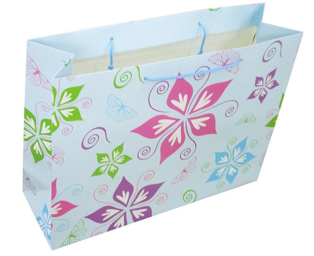 怎么區(qū)分牛皮紙的腹膜紙袋和不腹膜紙袋? 怎么區(qū)分牛皮紙的腹膜紙袋和不腹膜紙袋?