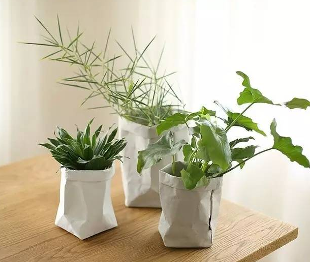 實力與顏值兼具的牛皮紙袋 實力與顏值兼具的牛皮紙袋