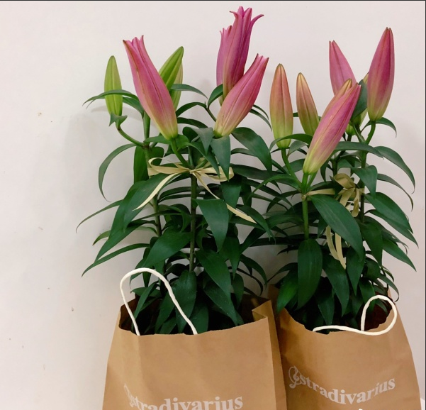 聽(tīng)說(shuō)這個(gè)七夕,鮮花和牛皮紙袋更配哦! 聽(tīng)說(shuō)這個(gè)七夕,鮮花和牛皮紙袋更配哦!