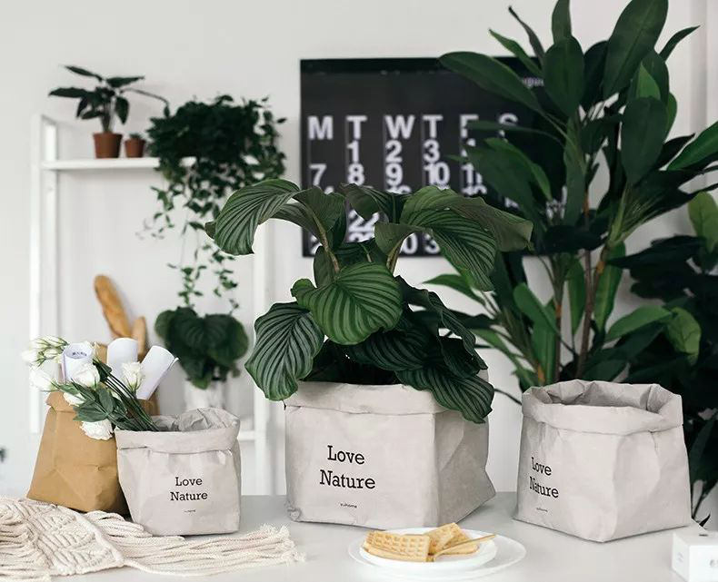 巧用牛皮紙袋收納,還你一個舒適的家! 巧用牛皮紙袋收納,還你一個舒適的家!